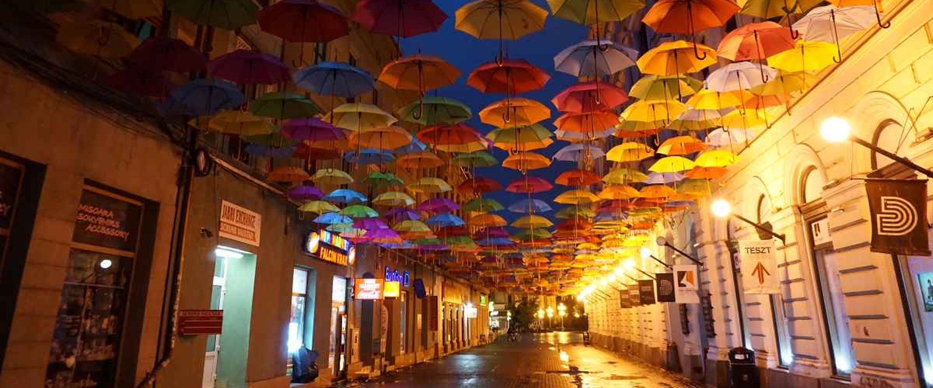 Bunte Regenschirme über einer Straße in Timisoara bei Nacht