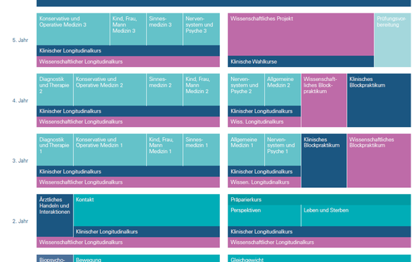 Grafik Module Medizinstudium
