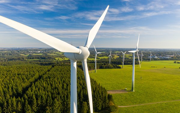 Mehrere Windkraftanlagen stehen auf grünen Wiesen und am Rand eines Waldgebiets in einer ländlichen Landschaft. Im Vordergrund dominiert eine große Windenergieanlage, weitere Anlagen erstrecken sich bis zum Horizont unter einem blauen Himmel.