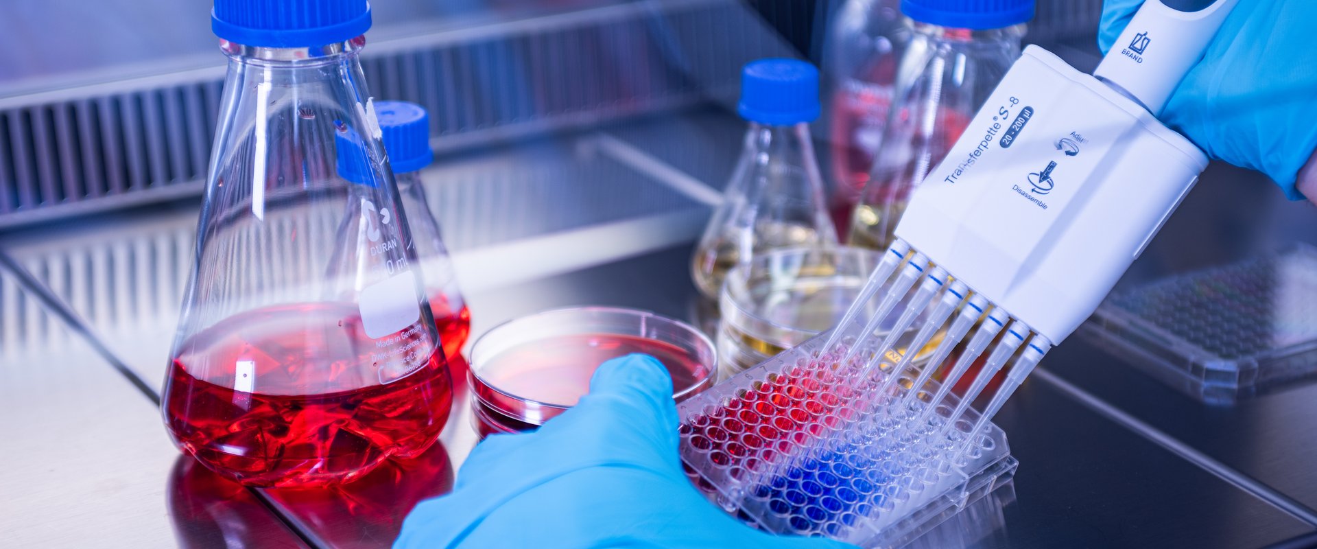 Research_2_1