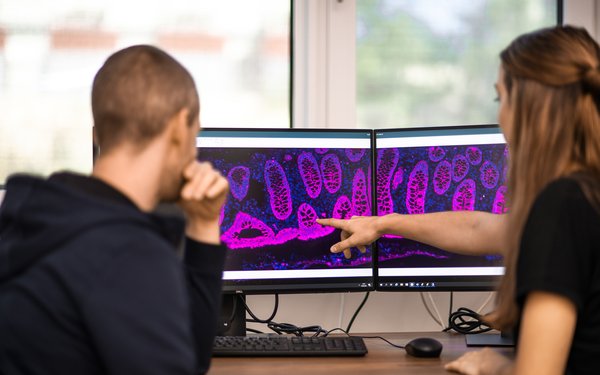 Zwei Personen schauen am Bildschirm Aufnahmen aus der Pathologie an