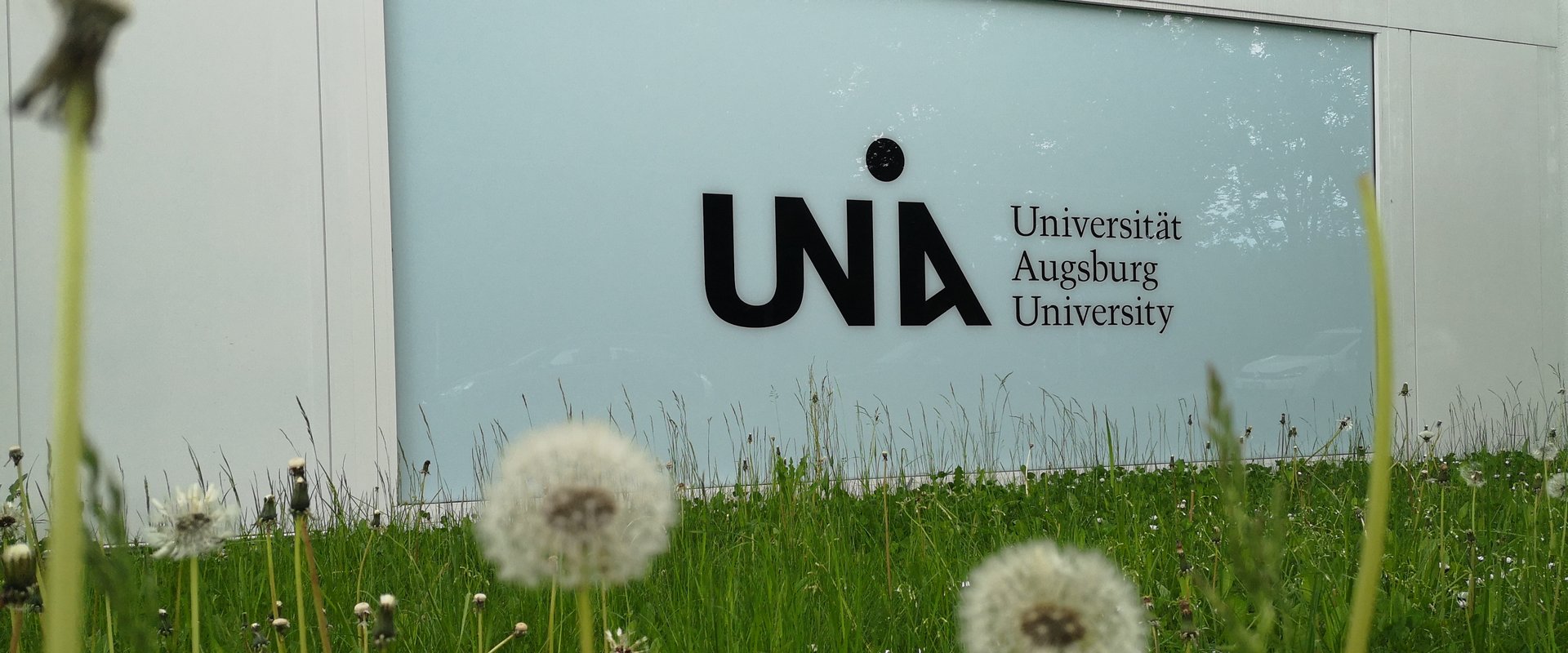 Gras und Blumen mit Uni-Logo am Y-Gebäude