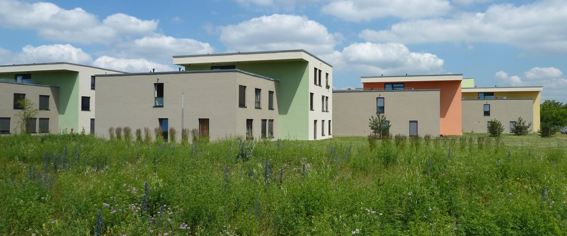 Außenansicht des Studentenwerk Wohnheims in der Bgm.-Ulrich-Str. (3)