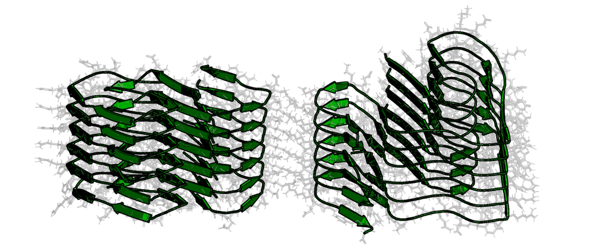 Amyloid Fibril from misfolded SAA Protein