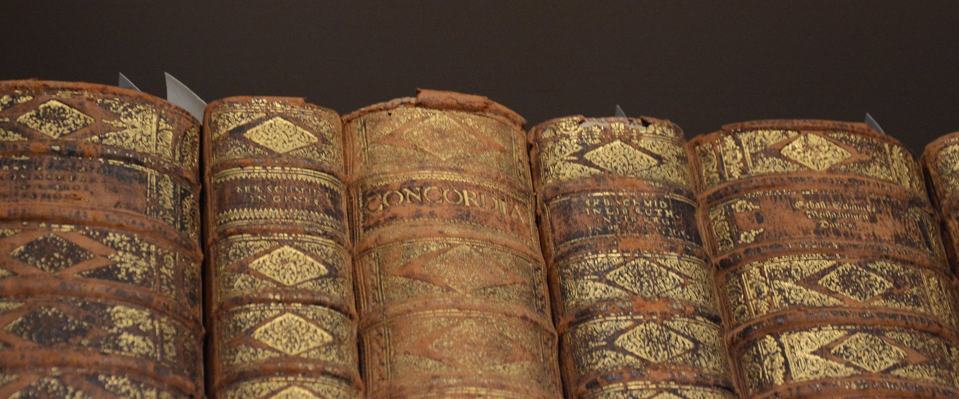 Reihe alter Bücher aus der Anna-Amalia-Bibliothek