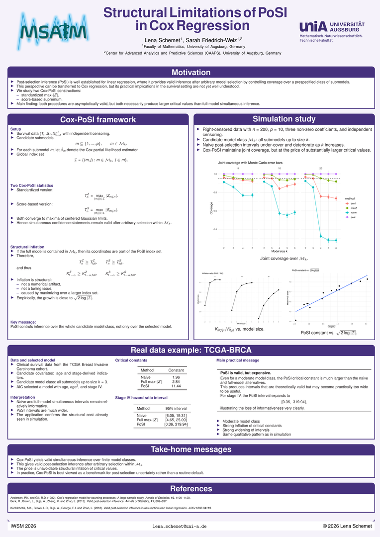 Poster_IWSM_L.Schemet-klein..png
