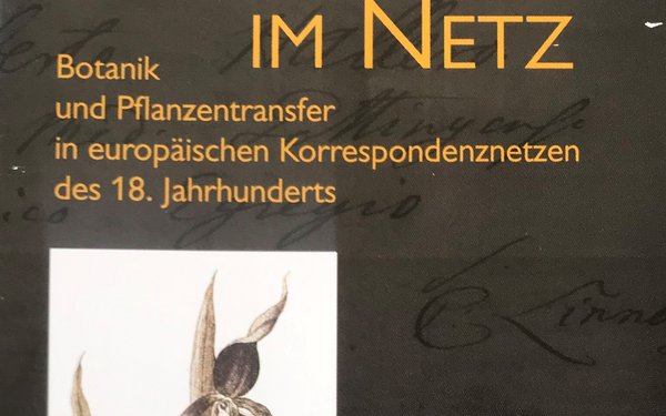 Wissen im Netz