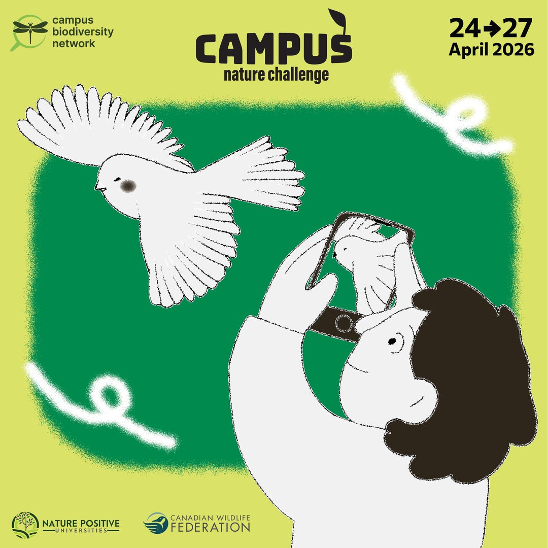 Zu sehen ist das Logo der Campus Nature Challengean dem die Universität Augsburg teilgenommen hat.