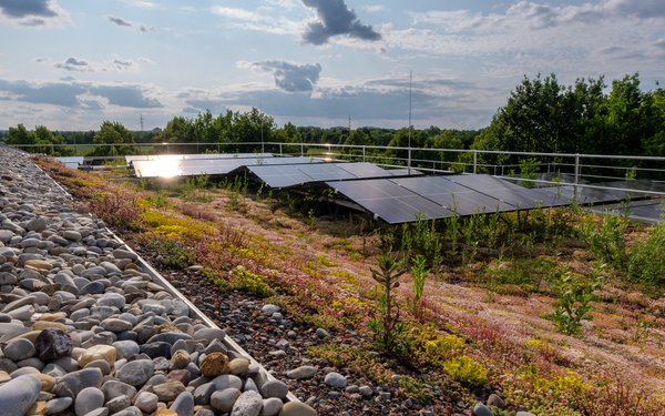 Die PV-Anlage mit Dachbegrünung auf dem Jura-Gebäude.