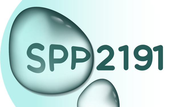 SPP2191