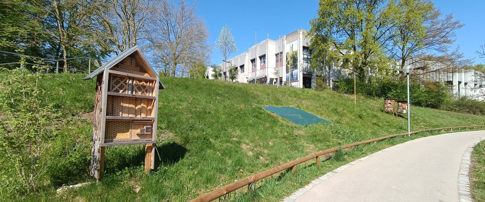 Der Insektenhang vor der Zentralbibliothek