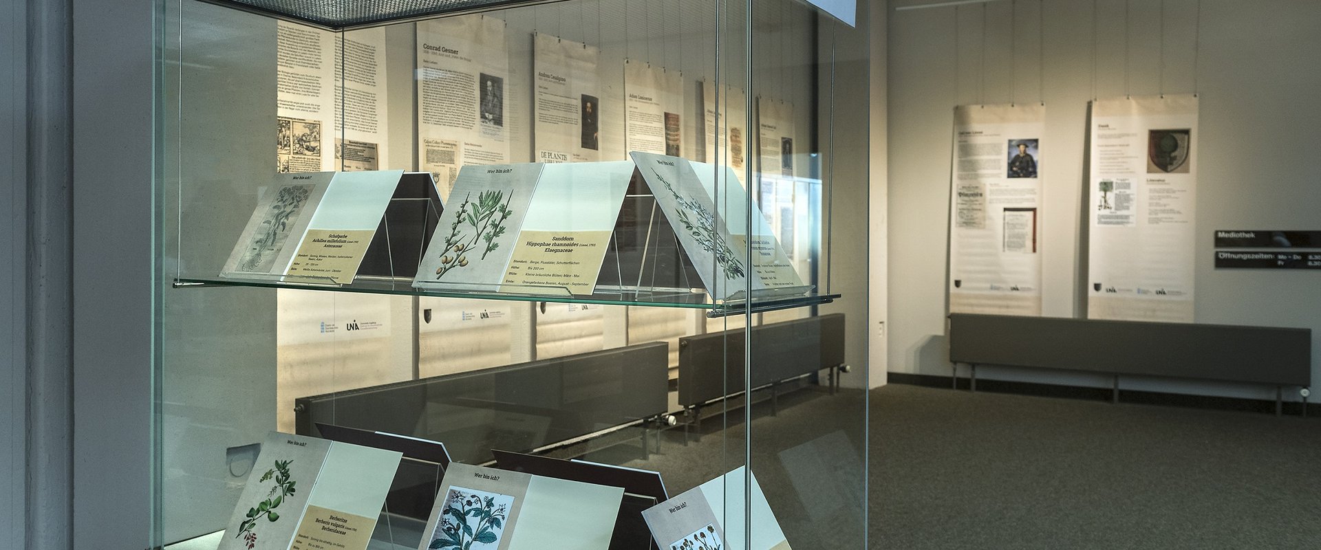 Ausstellung. An den Wänden hängen lange Plakate mit den Texten zur Ausstellung. Im Raum steht eine Vitrine mit Ausstellungsstücken.