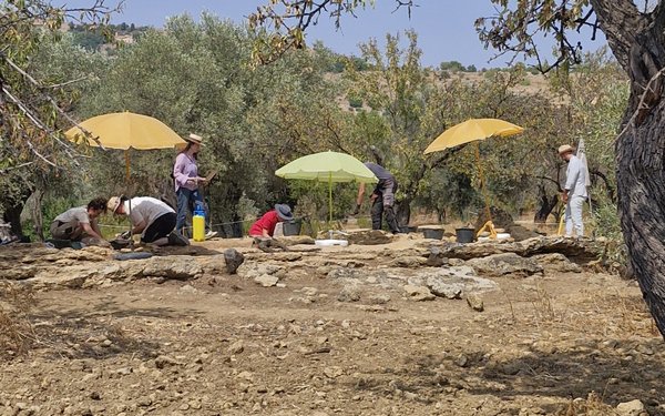 Kampagne_2025_Sonnenschirme