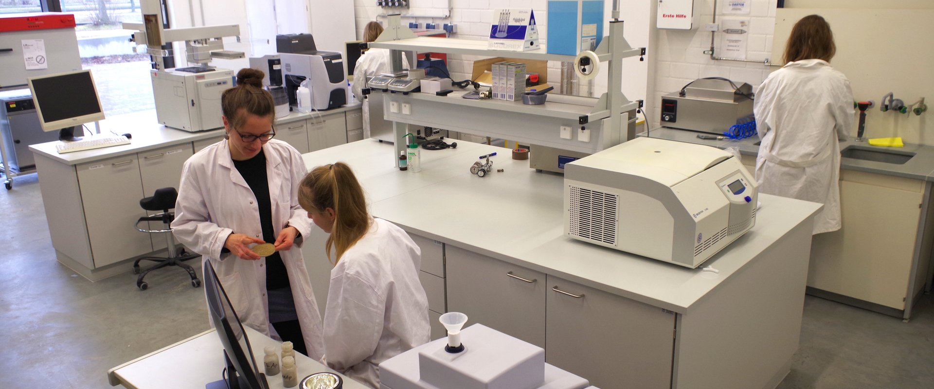 lab