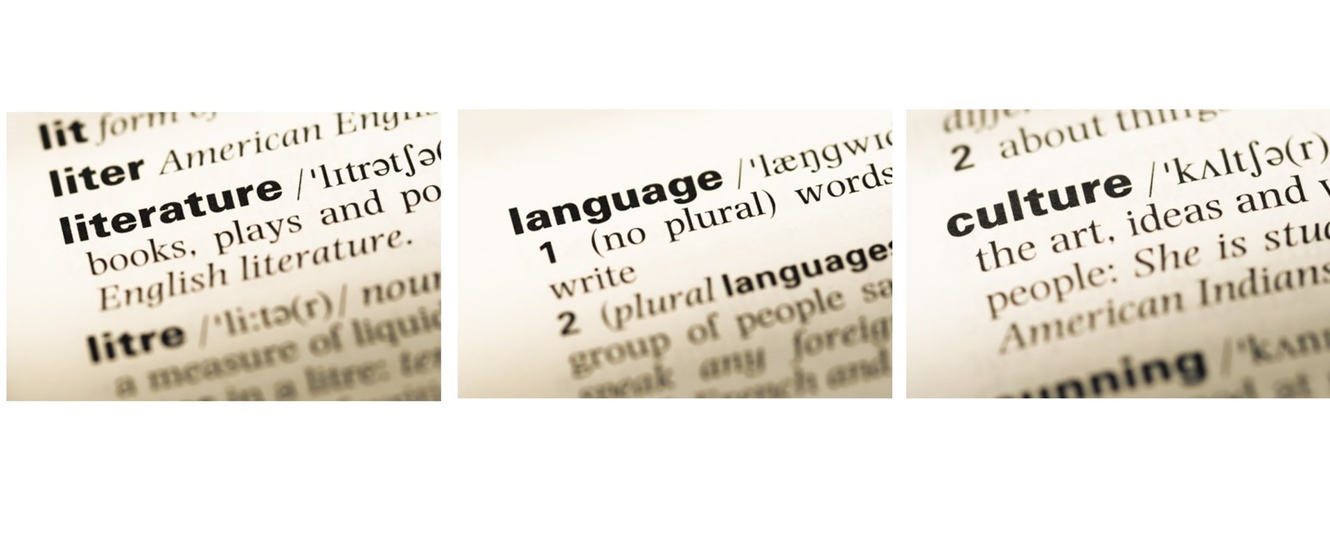 Lexikon-Auszüge von Literature-Language-Culture