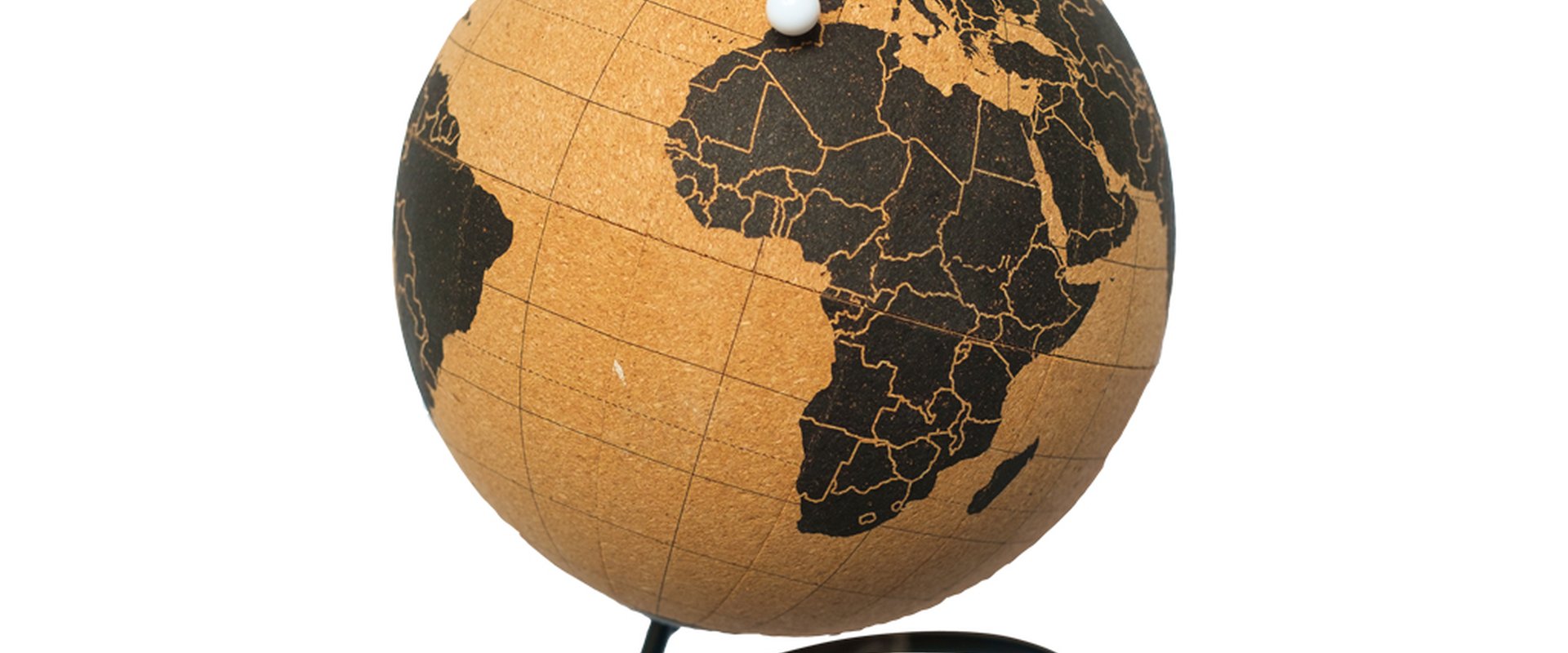 Ein Globus aus Kork mit Stecknadel präsentiert die weltweiten Aktivitäten des Studiengangs Global Business Management.