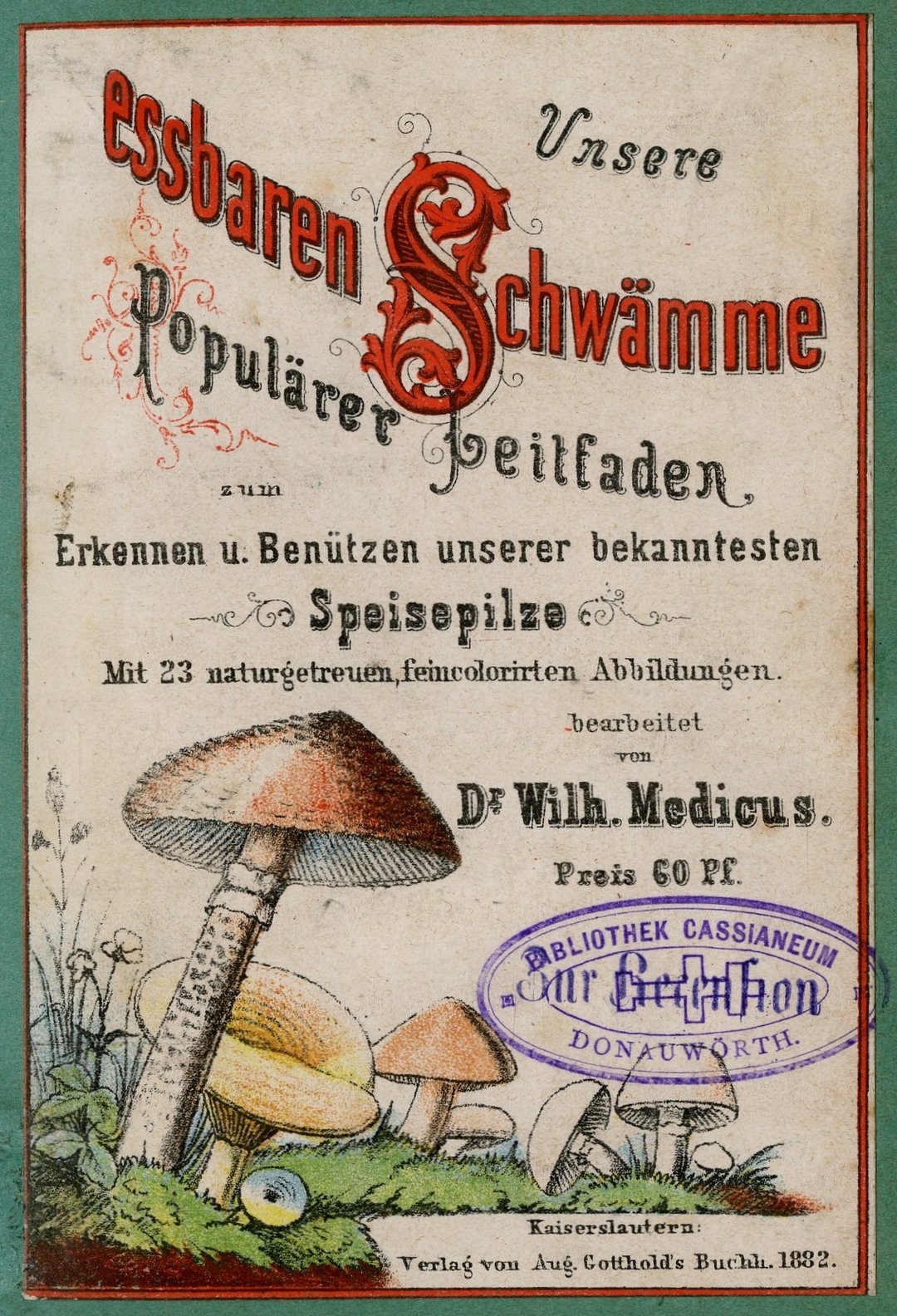 Cassianeum Pilze