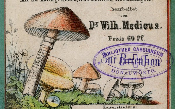 Cassianeum Pilze