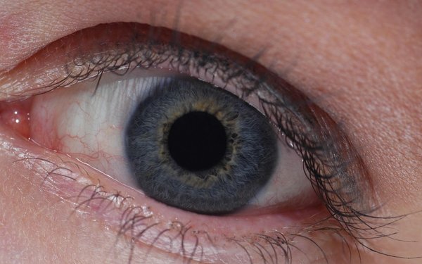 Gesundheit beginnt bei deinen Sinnen