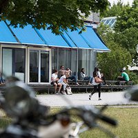 bibliothek_sommer_baume