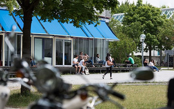 bibliothek_sommer_baume