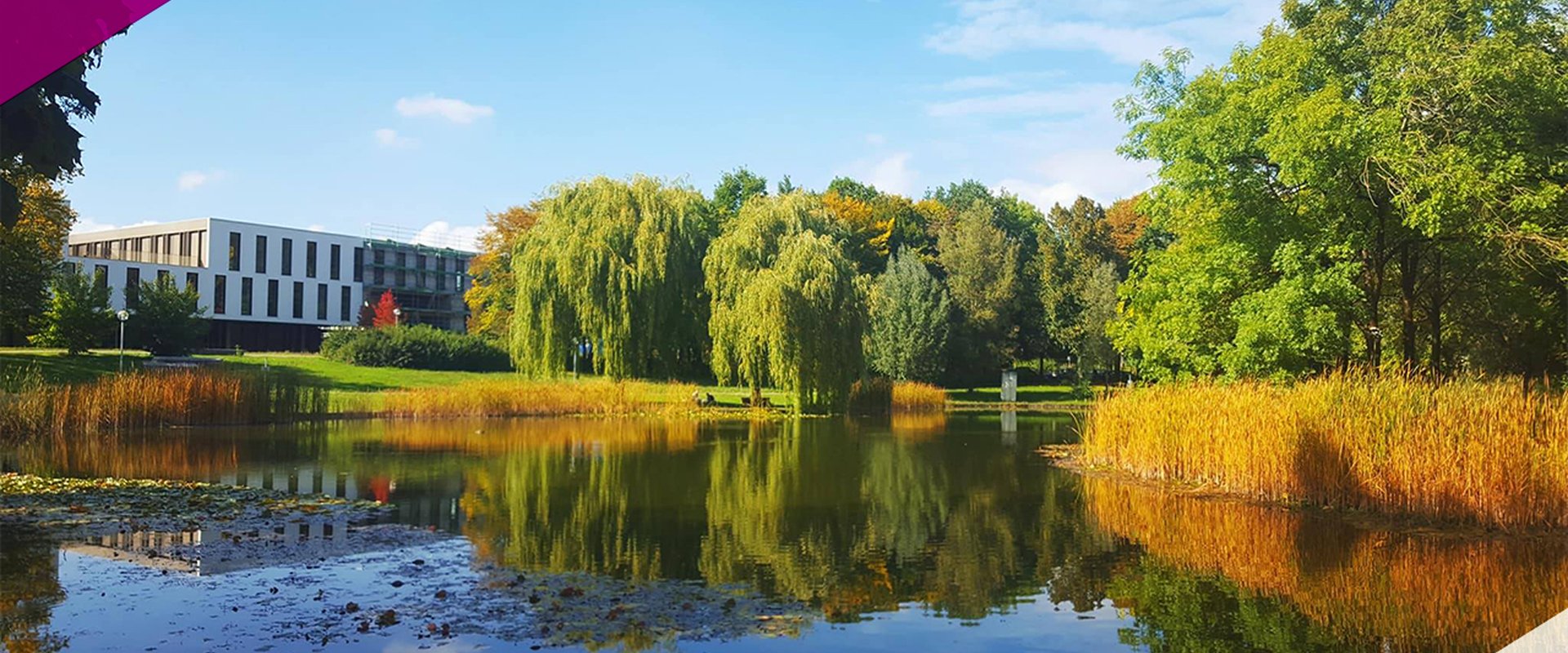 Virtueller Hintergrund Version 1 - Motiv Unisee