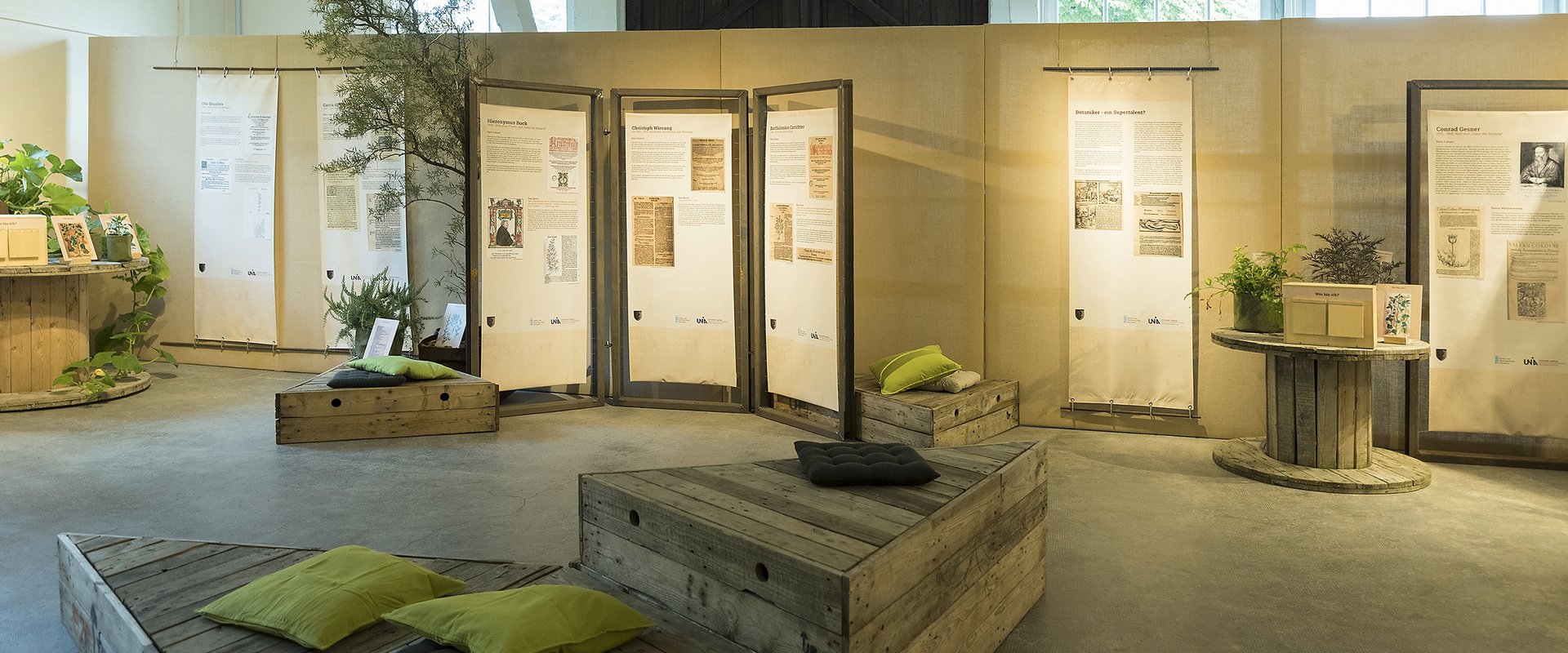 Ausstellung. An den Wänden hängen lange Plakate mit den Texten zur Ausstellung. Ringsherum befinden sich Sitzgelegenheiten. Der Raum ist hell erleuchtet und dekoriert mit grünen Pflanzen.
