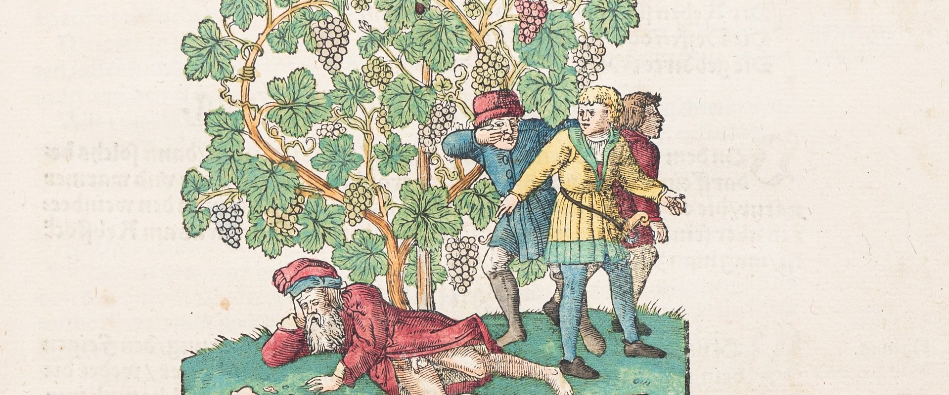 Hieronymus Bock: Kreüterbuch, Straßburg 1551