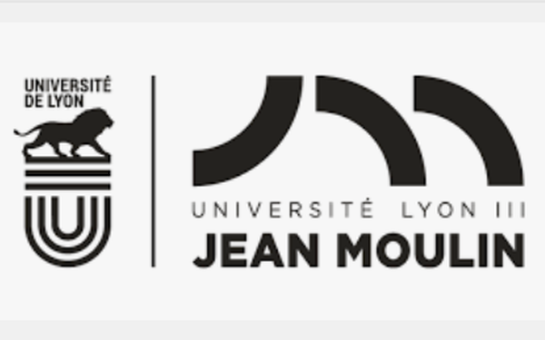 Logo Université Jean Moulin III