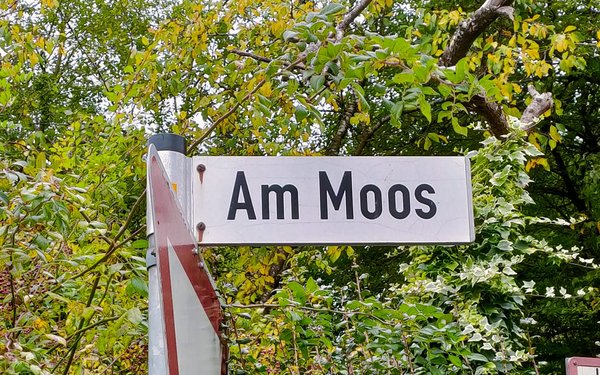 Straßenschild "im Moos" im Haspelmoor