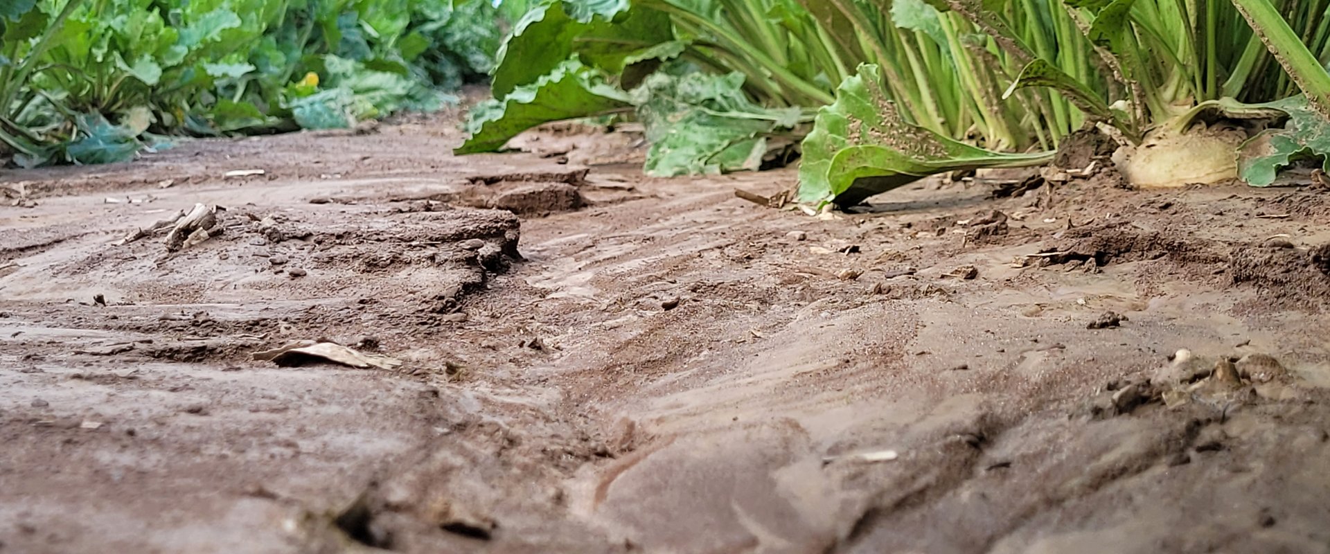 Erosion