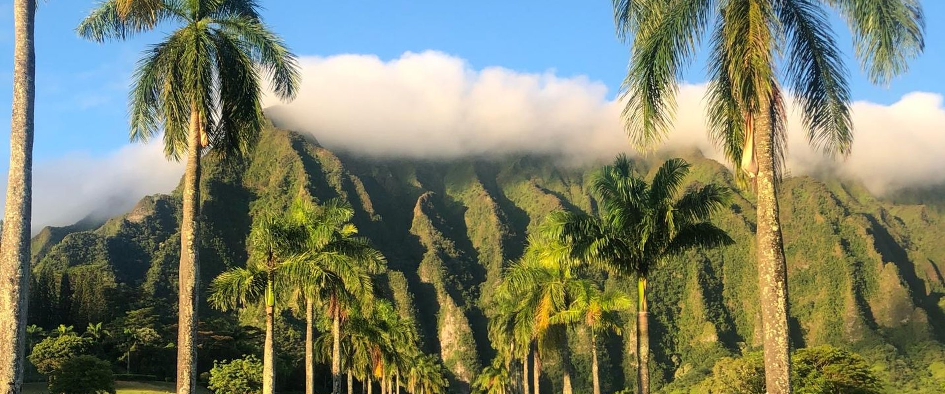 Hawai_Honolulu