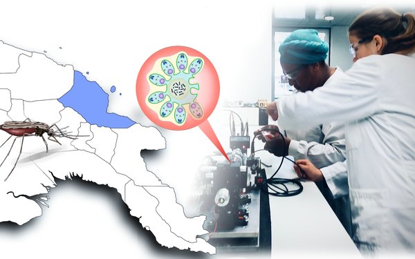 Karte von in Papua-Neuguinea; Bild von Forschenden im Labor