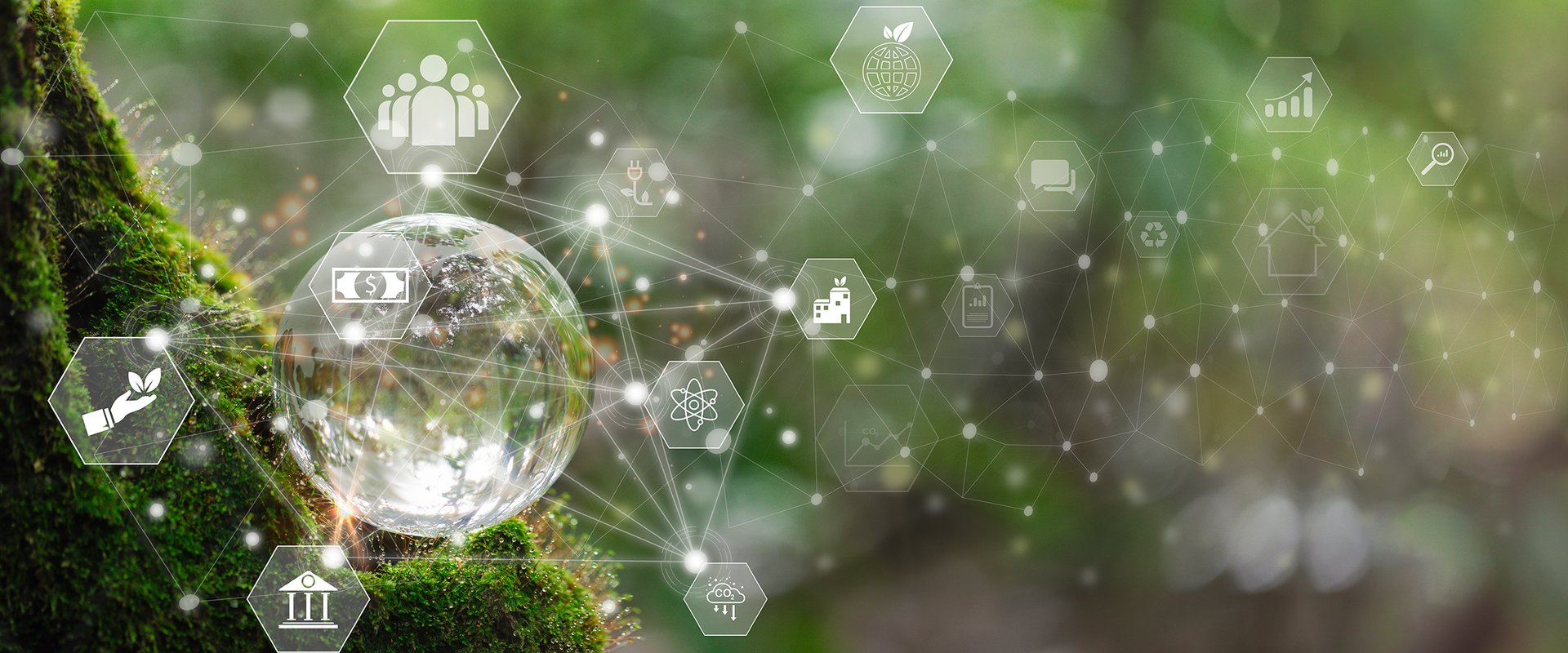 Hero-Bild Nachhaltigkeit, Klima, Umwelt