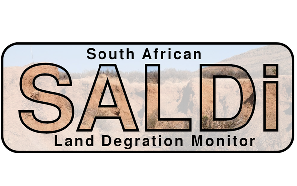 saldi_logo