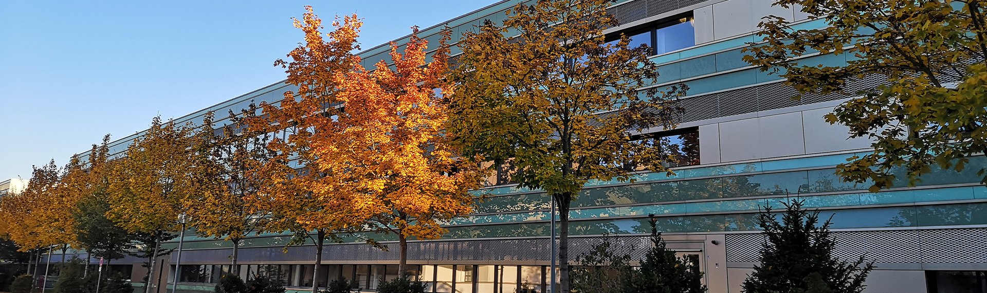 Herbst auf dem Campus