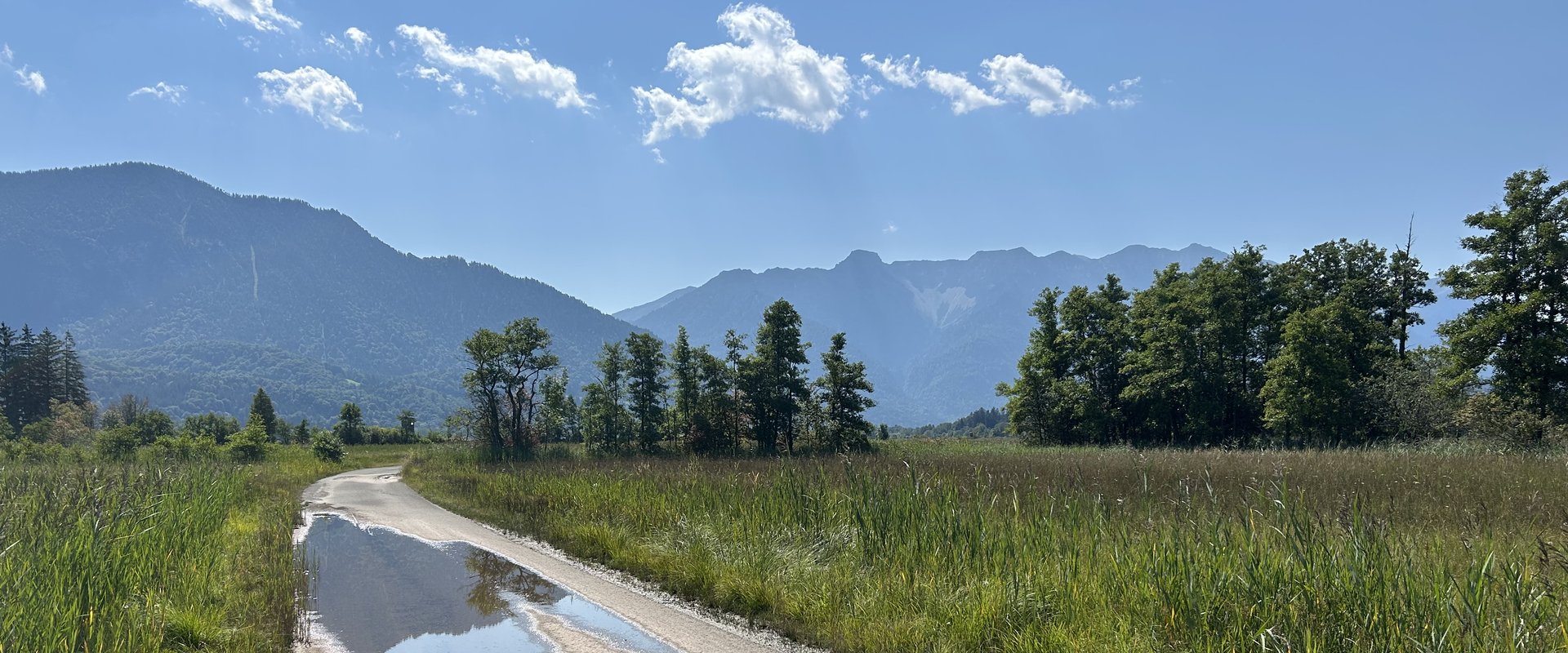 Weg durchs Murnauer Moos vor Alpenpanorama