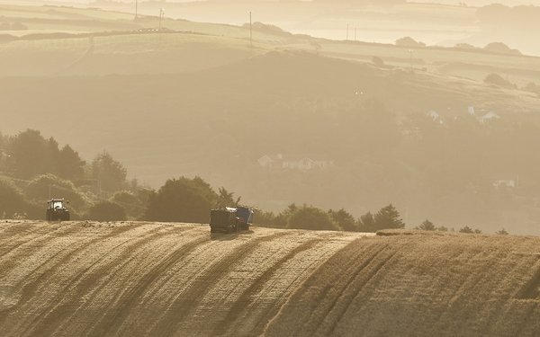 DeepL logo DeepL logo Übersetzer DeepL Pro Abos und Preise Apps DeepL für Mackostenlos                              Agriculture straw Alternativen:  DeepL Pro — schnelle, präzise und sichere Übersetzungen Security icon Höchste Datensicherheit Unlimited t