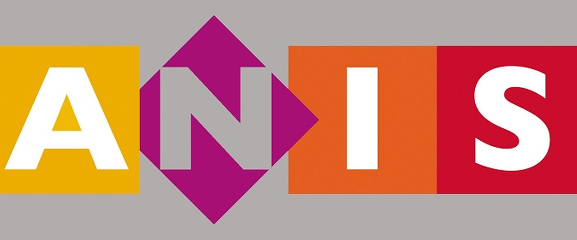 Buntes Logo des Studiengangs. Schriftzug ANIS.
