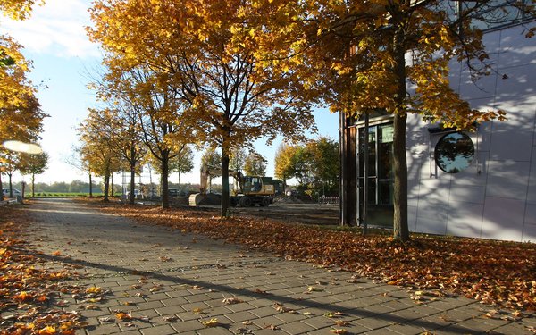 blick_auf_felder_abendstimmung_herbst