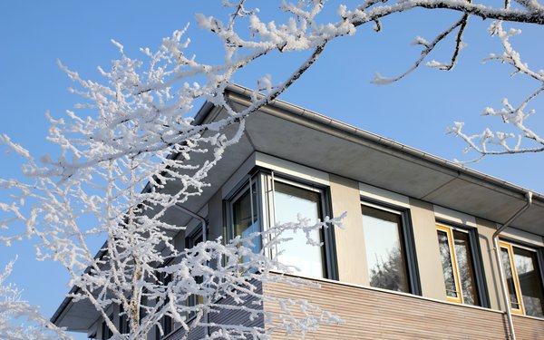 Wirtschaftswissenschaftliche Fakultät im Winter mit Ast