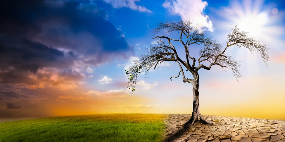 Bild_Klima