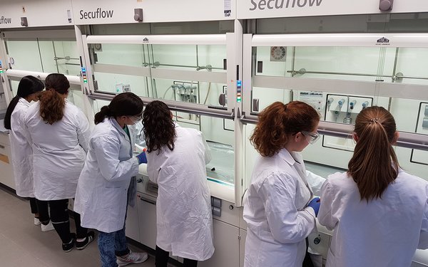 Schülerinnen und schüler experimentieren im Labor.