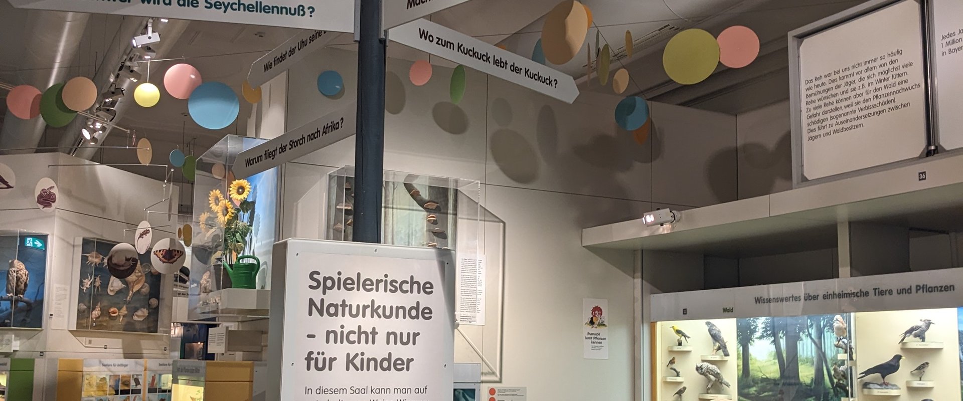 Museumsinnenraum mit Erkl?rtafel und Ausstellungsst��cken (modern in wei? gehalten)
