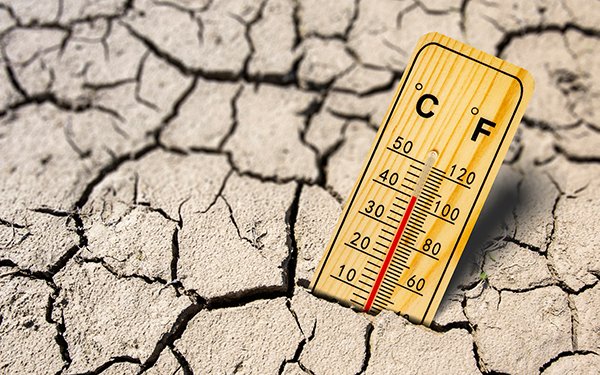 Zu sehen ist ein Thermometer, das in rissiger, ausgetrockneter Erde steckt und einen Wert von 40 Grad Celsius anzeigt.