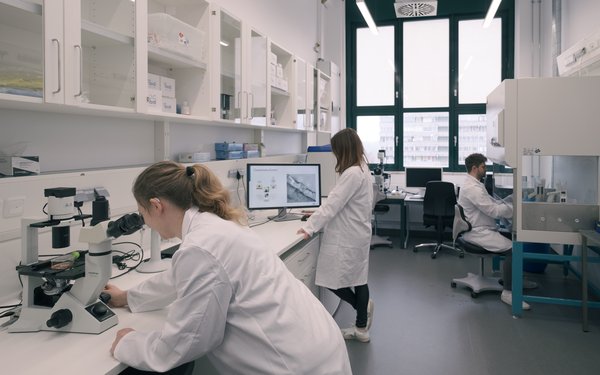 Wissenschaftlerinnen und Wissenschaftler im Labor arbeiten an Zellkulturen