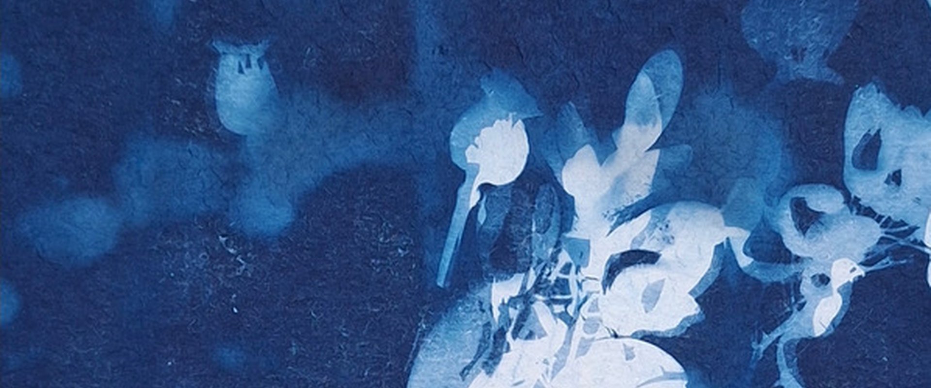 Bild von Nina Rodenhauser