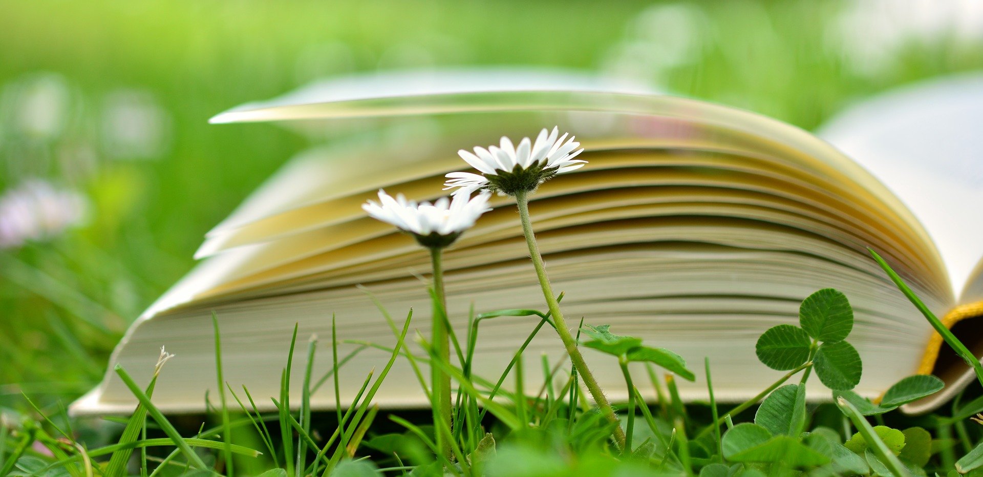 International Entrepreneurship and Management Journal - Veröffentlichung erschienen