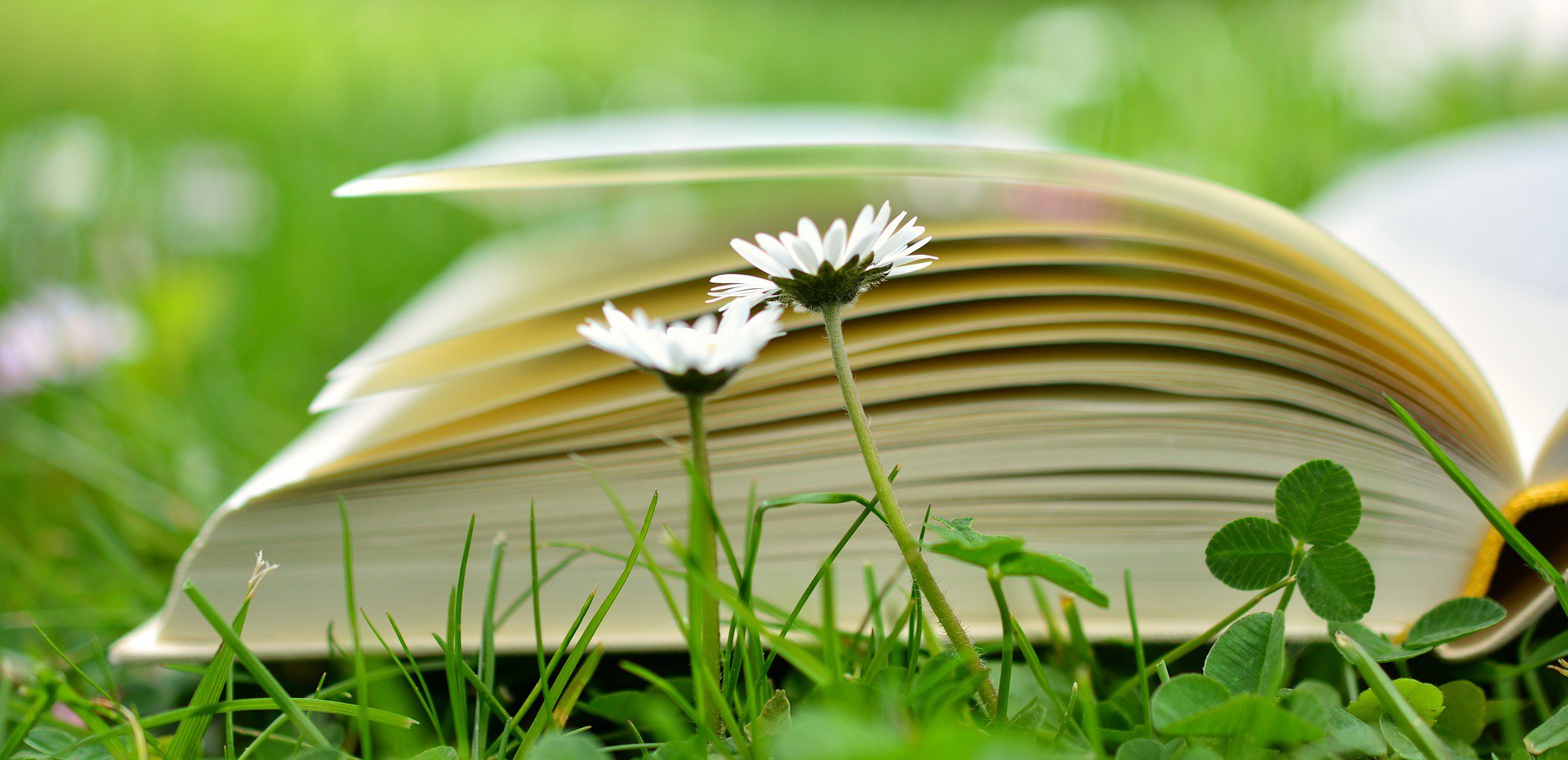 International Entrepreneurship and Management Journal - Veröffentlichung erschienen