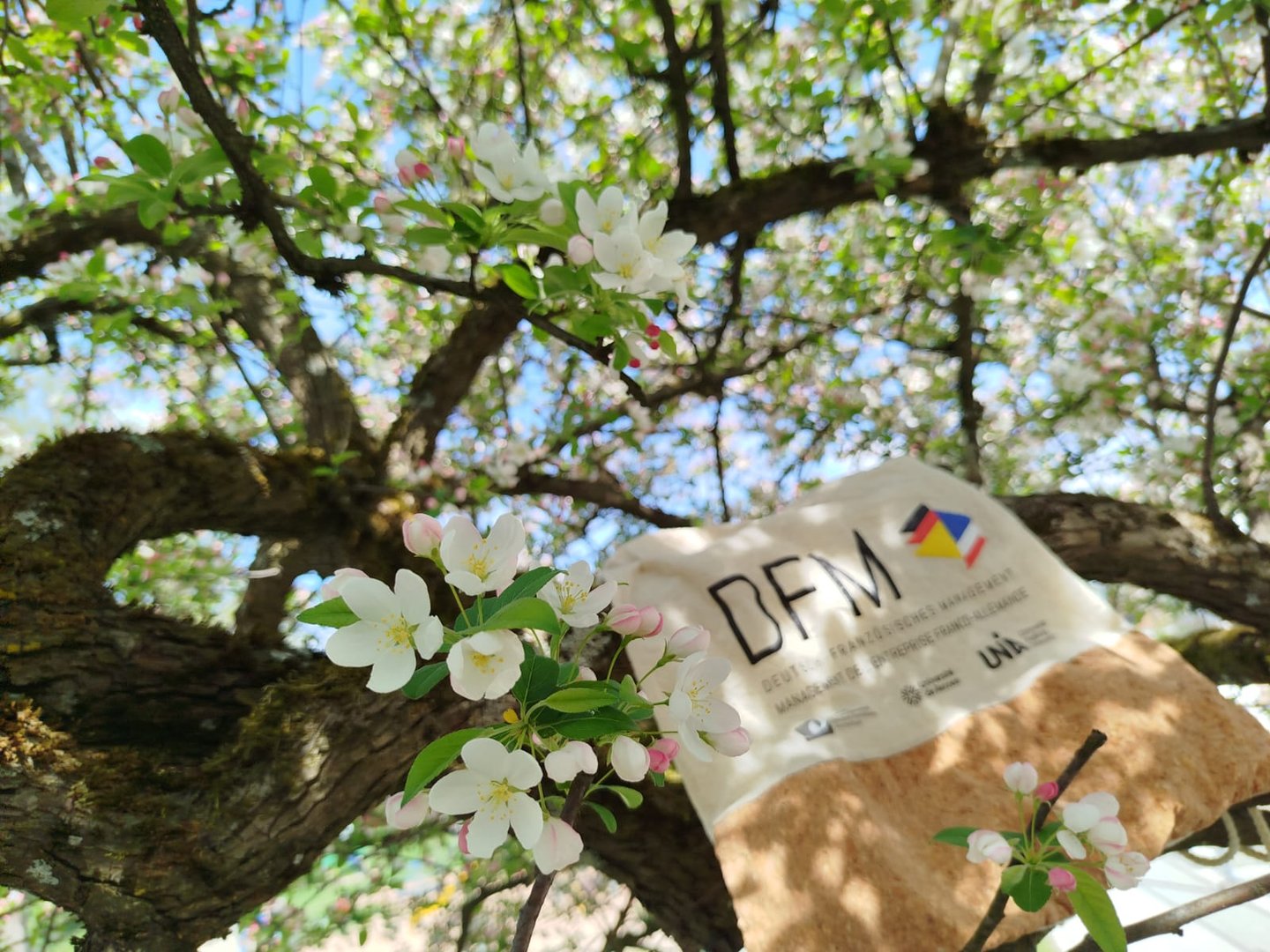 Frühling auf dem Campus
